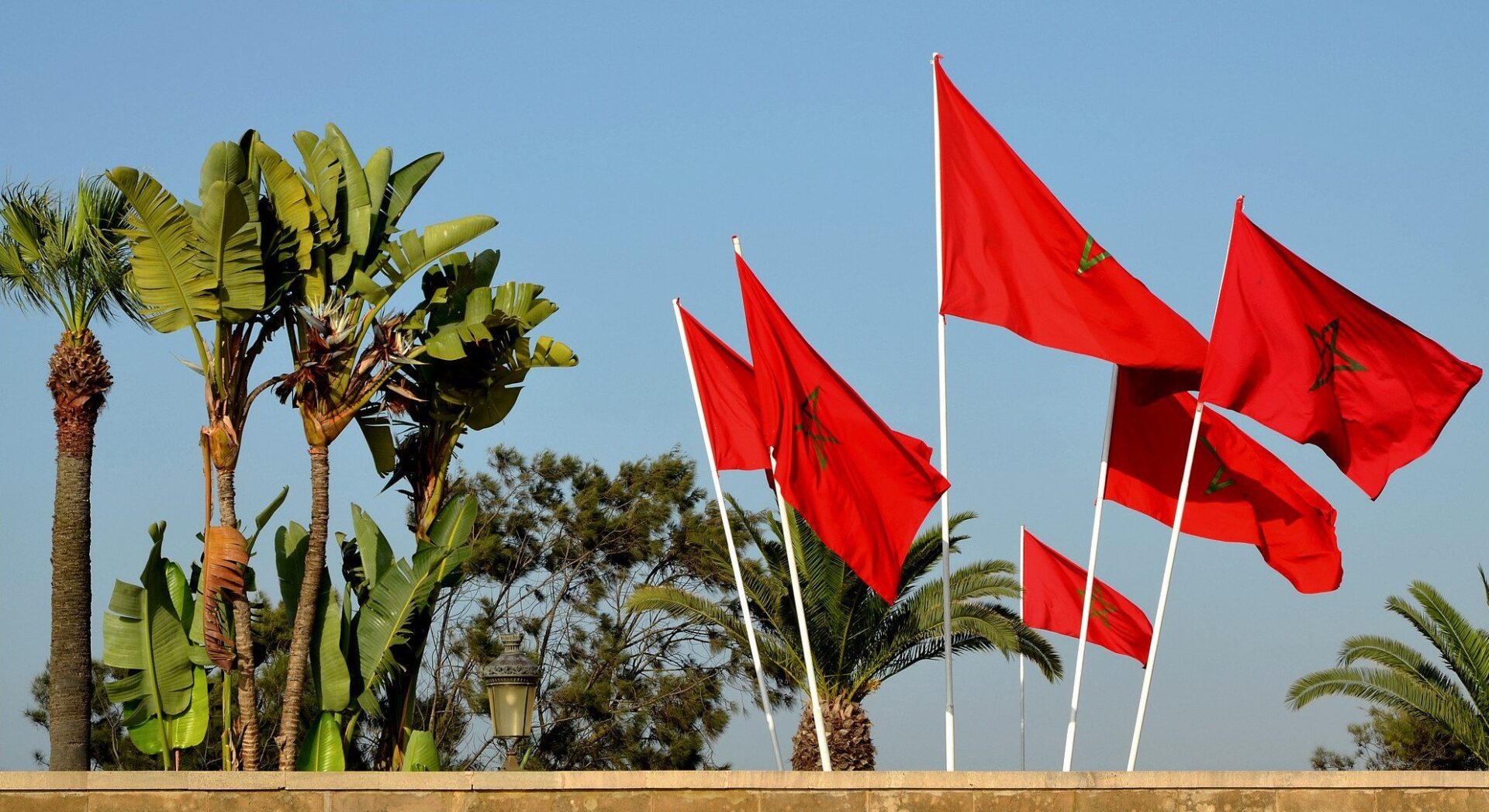 المغرب