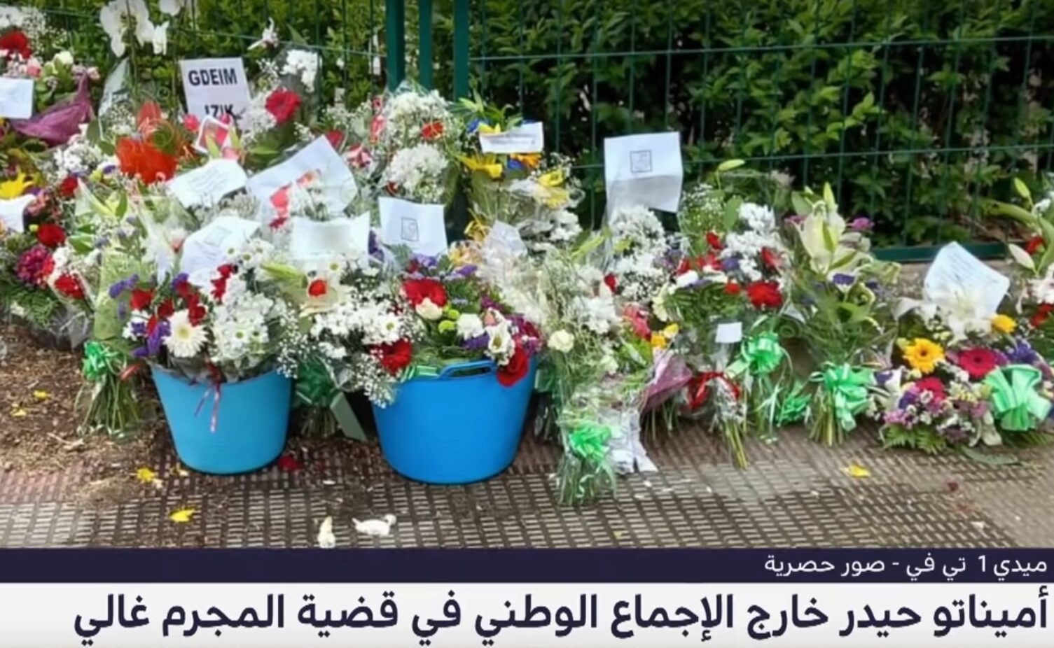 بعد طول اختفاء.. أميناتو حيدر تتلقى أوامر من جنرالات الجزائر لمساندة مجرم الحرب ''ابراهيم غالي'' مُقدمة له باقة من الورود 1 حيدر