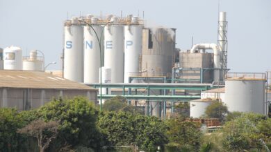 سنيب