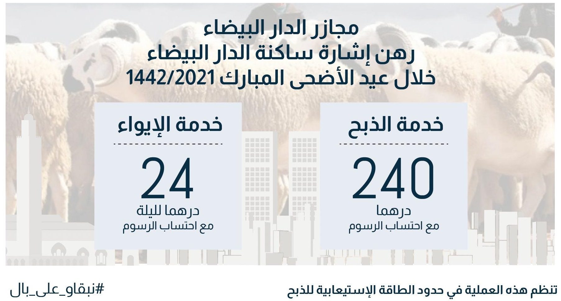 بمناسبة عيد الأضحى.. هذه أسعار خدمات الذبح والإيواء بمجازر الدار البيضاء بمناسبة عيد الأضحى.. هذه أسعار خدمات الذبح والإيواء بمجازر الدار البيضاء