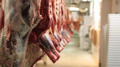 abattoirs