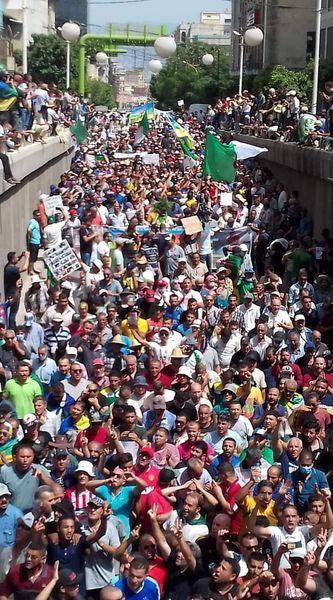 للجمعة 124 على التوالي.. الشعب الجزائري يواصل حراكه ويتحدى قمع نظام العسكر في مظاهرات حاشدة للجمعة 124 على التوالي.. الشعب الجزائري يواصل حراكه ويتحدى قمع نظام العسكر في مظاهرات حاشدة