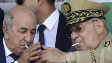 tebboune et gaid1