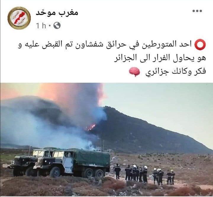 مغاربة يسخرون من تبون: أحد المتورطين في حرائق شفشاون تم القبض عليه وهو يحاول الفرار إلى الجزائر.. فكر وكأنك من كابرانات الجزائر ! مغاربة يسخرون من تبون: أحد المتورطين في حرائق شفشاون تم القبض عليه وهو يحاول الفرار إلى الجزائر.. فكر وكأنك من كابرانات الجزائر !