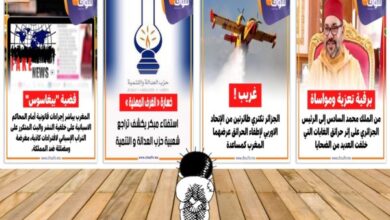 أبو وائل الريفي 1