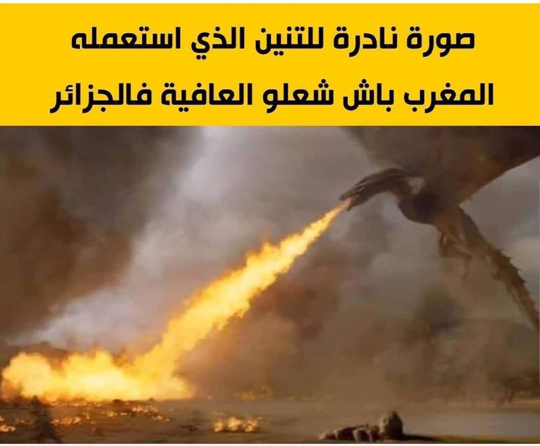 على طريقتهم الخاصة.. رواد مواقع التواصل الاجتماعي يسخرون من عبد المجيد تبون بعد إتهام المغرب على طريقتهم الخاصة.. رواد مواقع التواصل الاجتماعي يسخرون من عبد المجيد تبون بعد إتهام المغرب