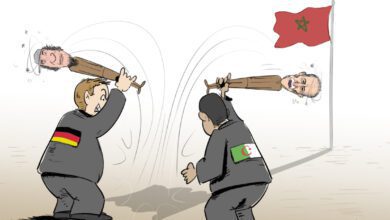 المغرب ألمانيا الجزائر