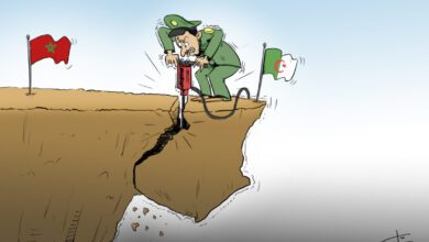 النظام الجزائري