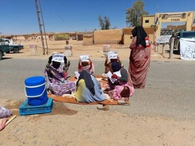 ضرب صحراوية