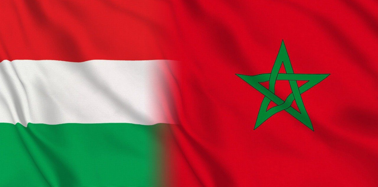المغرب وهنغاريا يعززان تعاونهما في مجال التدريب بشأن الاستخدامات السلمية للطاقة النووية 1 المغرب هنغاريا