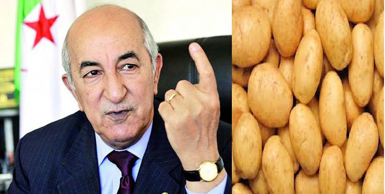 عبد الرحيم منار السليمي: ''جنرالات الجزائر يخوضون حرب البطاطس منذ 59 عاما'' 1 تبون والبطاطس