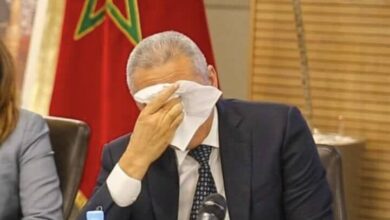 مولاي عبد الحفيظ العلمي