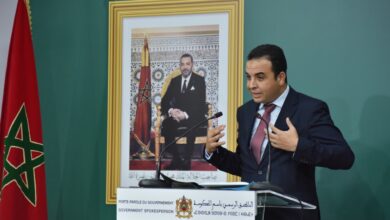 الرسمي باسم الحكومة