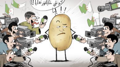 أزمة البطاطس