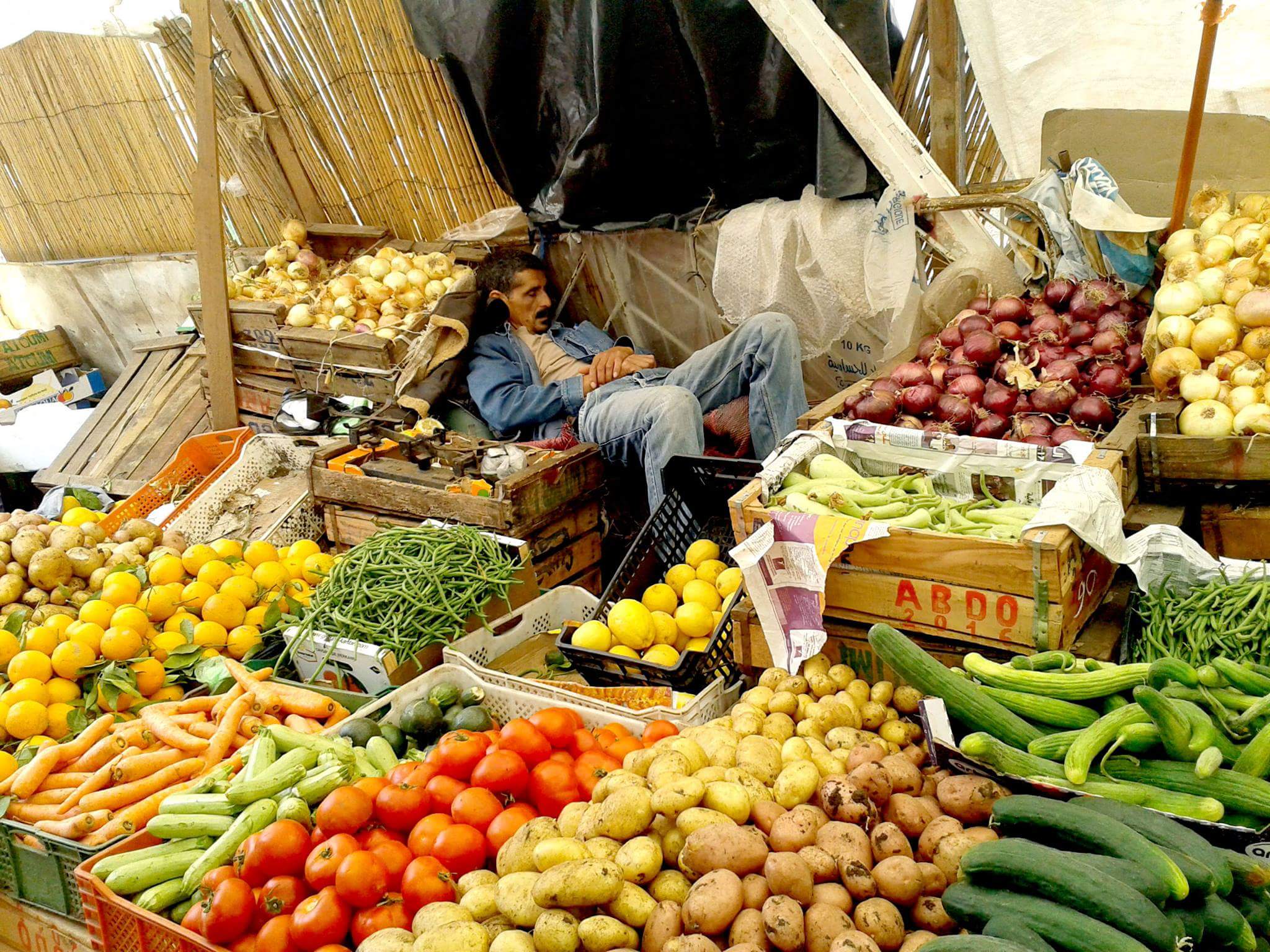 الخضر