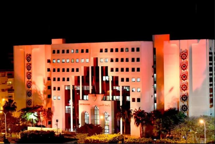 المديرية العامة للأمن الوطني تزين مقراتها رفضا للعنف ضد النساء 1 المديرية العامة