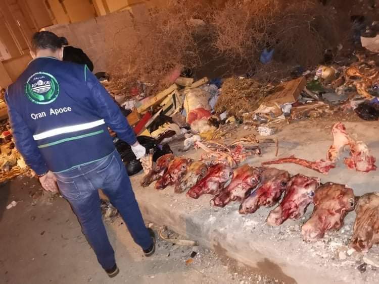 صور صادمة.. العثور على بقايا حمير بولاية وهران والأمن الجزائري يحقق حول تسويقها للاستهلاك البشري صور صادمة.. العثور على بقايا حمير بولاية وهران والأمن الجزائري يحقق حول تسويقها للاستهلاك البشري