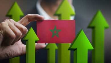 fonds monetaire international fmi