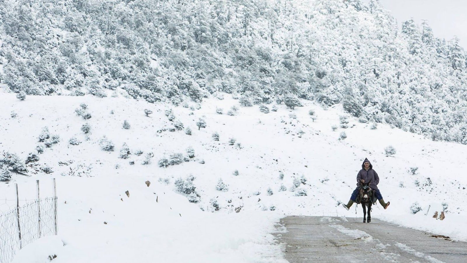 Winter Morocco