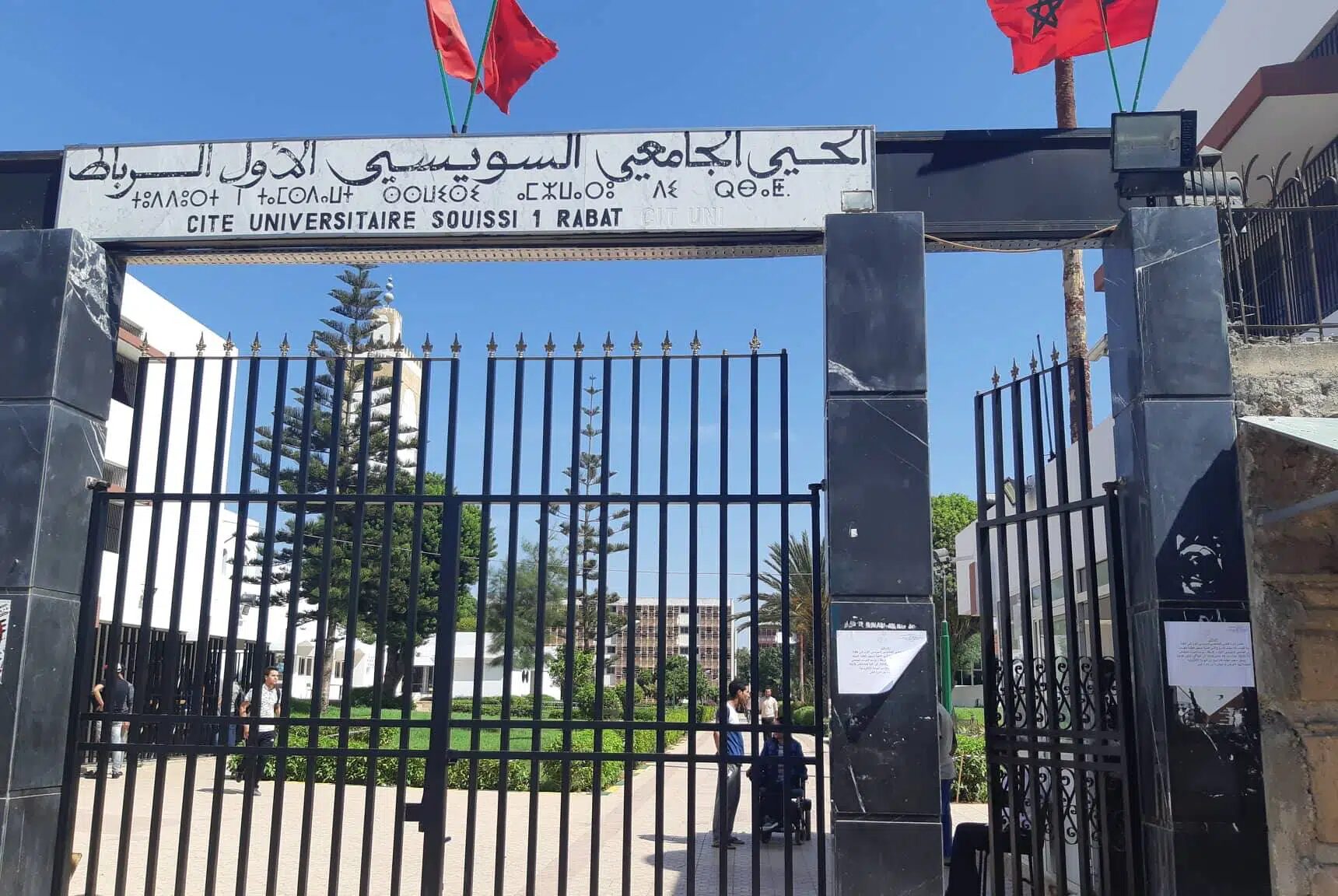 الجامعية