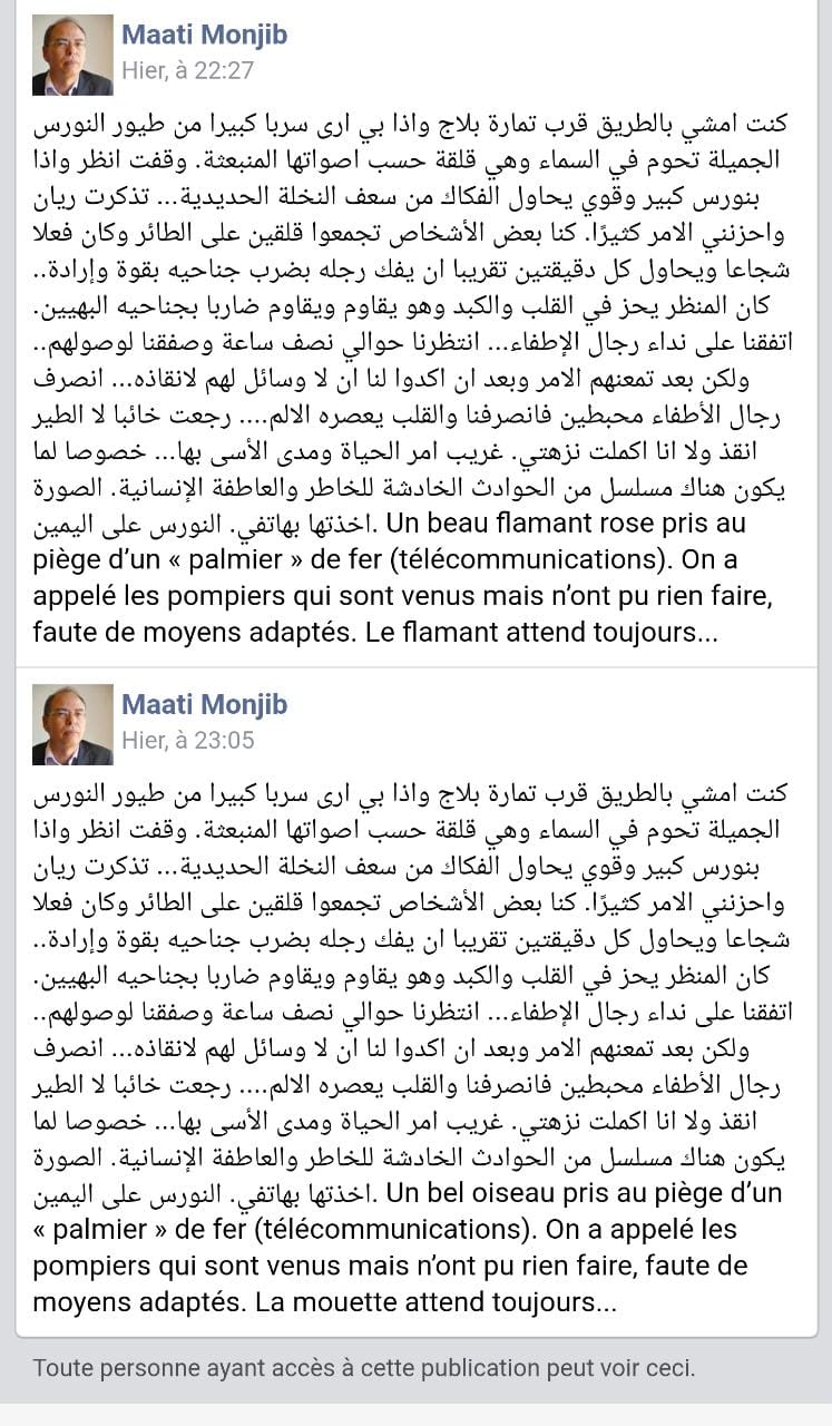 المعطي منجب ”يذبح الترجمة” ويجعل نفسه محط سخرية لمتابعيه على حسابه ب”فيسبوك” المعطي منجب ”يذبح الترجمة” ويجعل نفسه محط سخرية لمتابعيه على حسابه ب”فيسبوك”