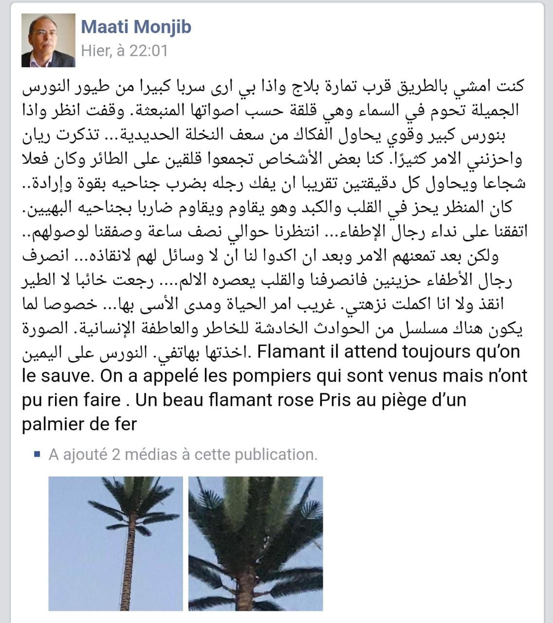 المعطي منجب ”يذبح الترجمة” ويجعل نفسه محط سخرية لمتابعيه على حسابه ب”فيسبوك” المعطي منجب ”يذبح الترجمة” ويجعل نفسه محط سخرية لمتابعيه على حسابه ب”فيسبوك”
