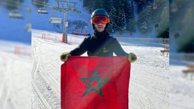 Sans titre 2