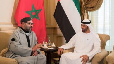 محمد بن زايد والملك محمد السادس