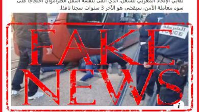 فايك نيوز