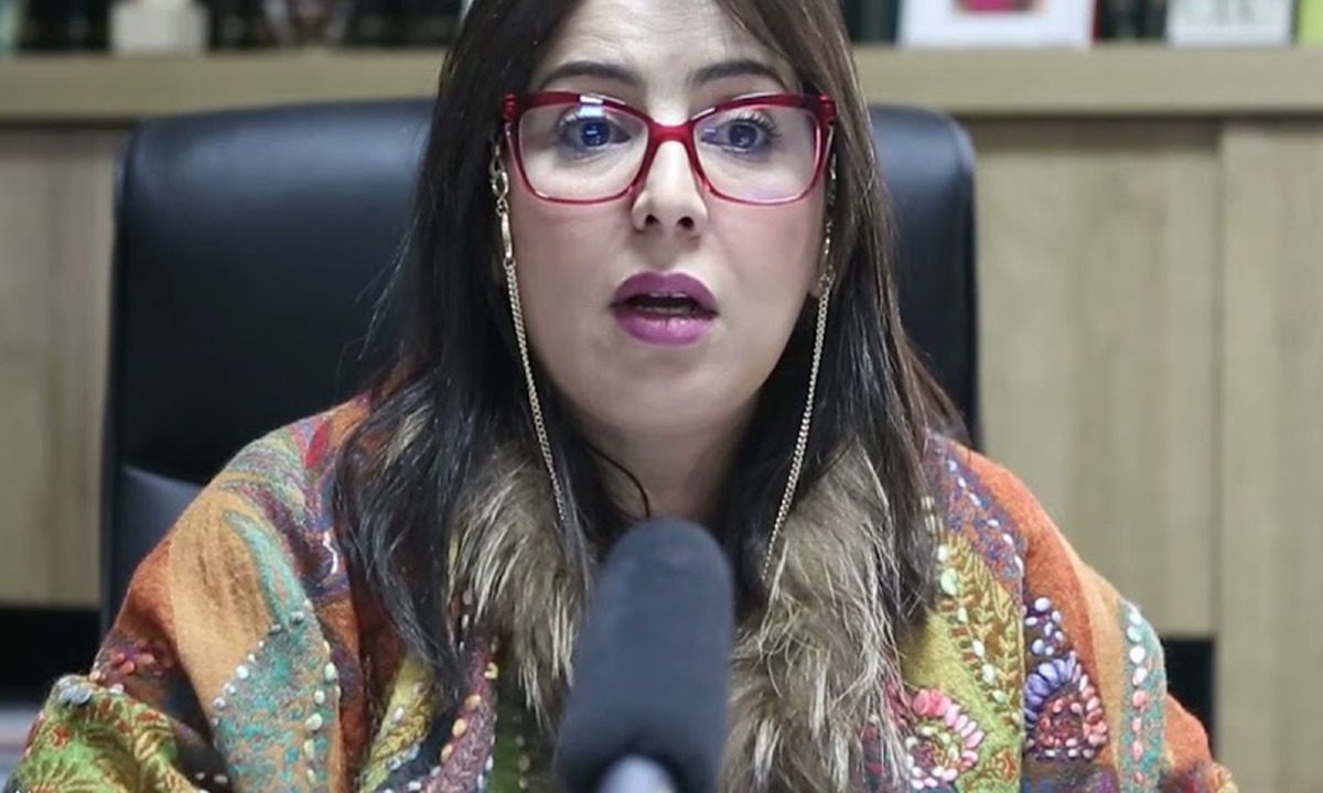 المحامية مريم جمال الإدريسي: القضاء الفرنسي غير مستقل وقضية سعد لمجرد لم تحترم شروط المحاكمة العادلة ! 1 مريم الإدريسي