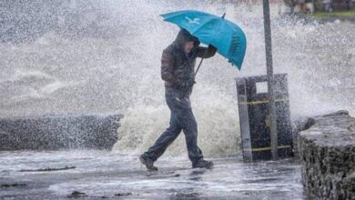 extreme wet and wind rain.JPG 66085775