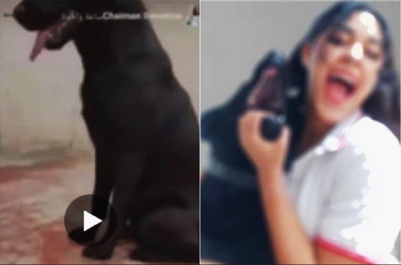 جابتها في راسها.. أمن فاس يتفاعل مع فيديو الفتاة التي حرضت كلبة على قتل قطة 1 شابة