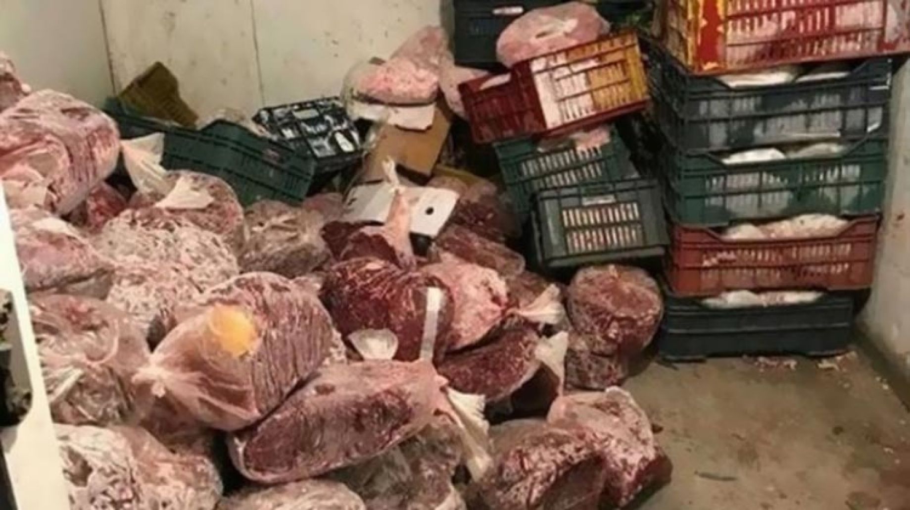 لحوم الدواجن فاسدة
