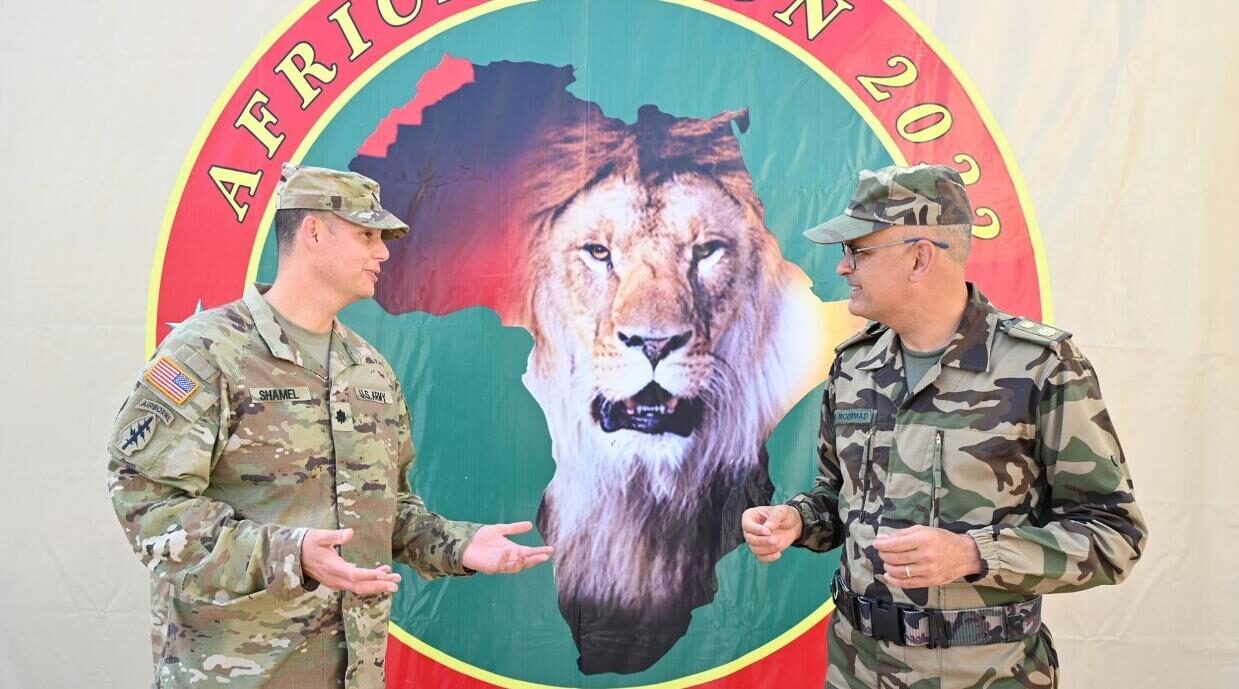 african lion