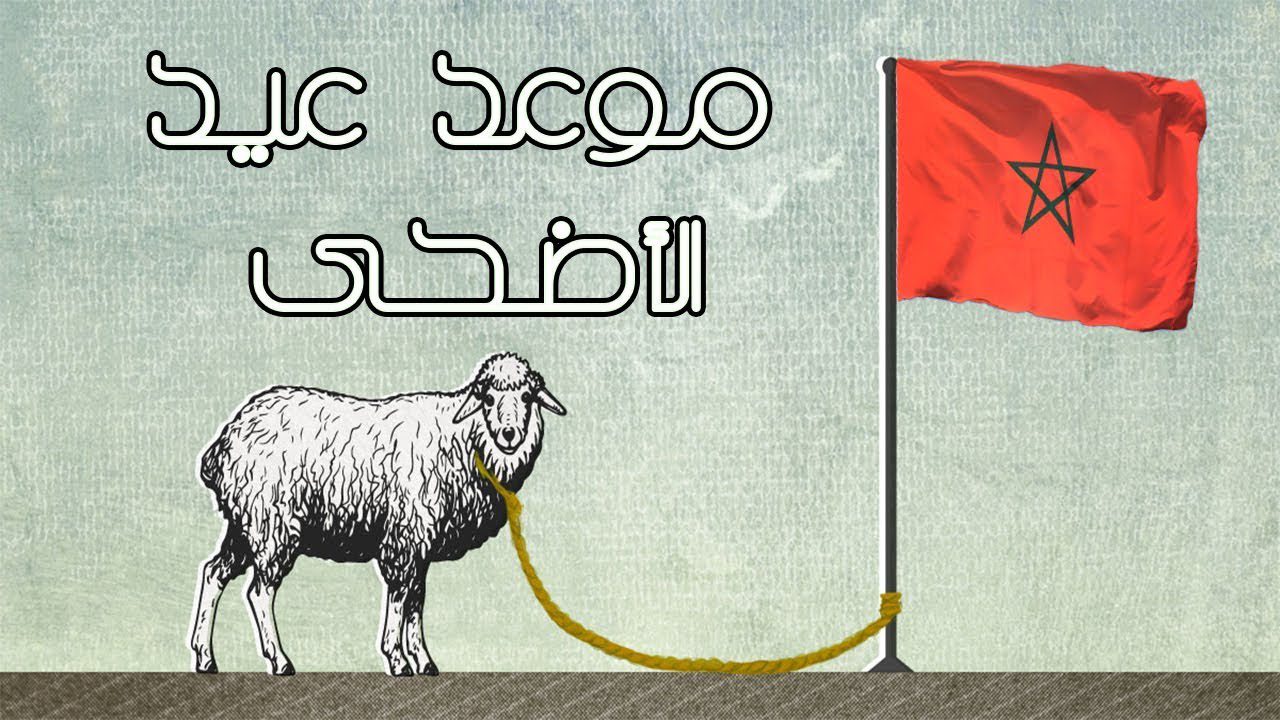 رسميا.. عيد الأضحى بالمغرب يوم الأحد 10 يوليوز 2022 1 عيد الأضحى المغرب