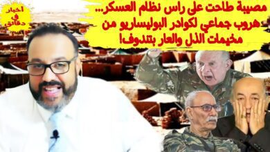 وليد كبير 2