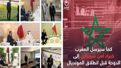 قطر حموشي