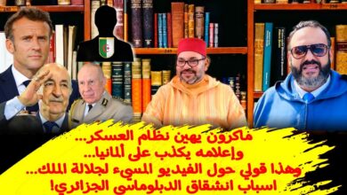 وليد كبير 1 1