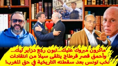 وليد كبير 1