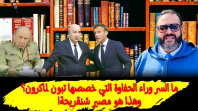 وليد كبير 3