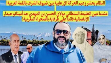 walid kbir