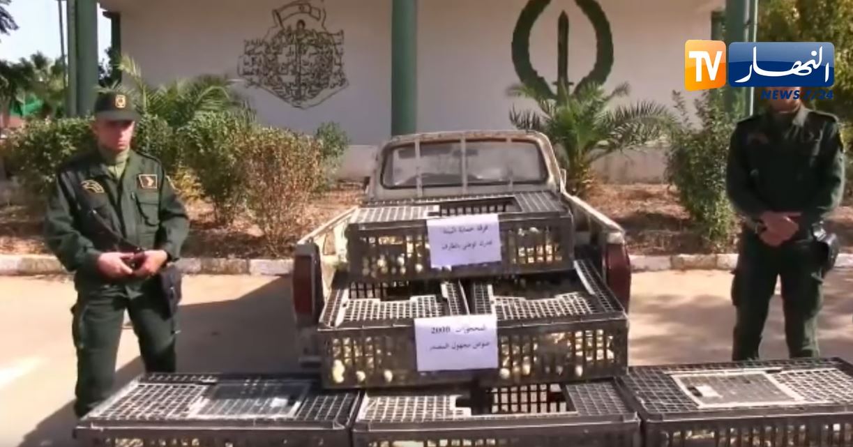 بالفيديو.. الأجهزة الأمنية الجزائرية تبهر العالم بعد تمكنها من حجز 2000 فلّوس مهرب ! 1 فلوس جزائري