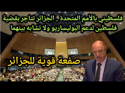 مقدمو ملتمس بالأمم المتحدة يدعمون المخطط المغربي في الصحراء ومتدخل فلسطيني يصفع نظام الكابرانات وعصابة البوليساريو (فيديو) 1 ممثل فلسطين