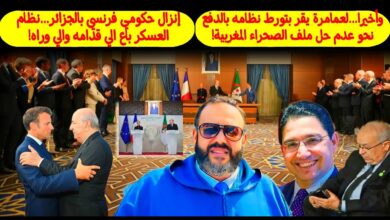 وليد كبير 1