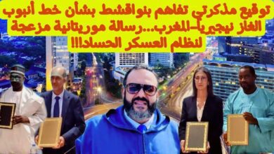 وليد كبير 2