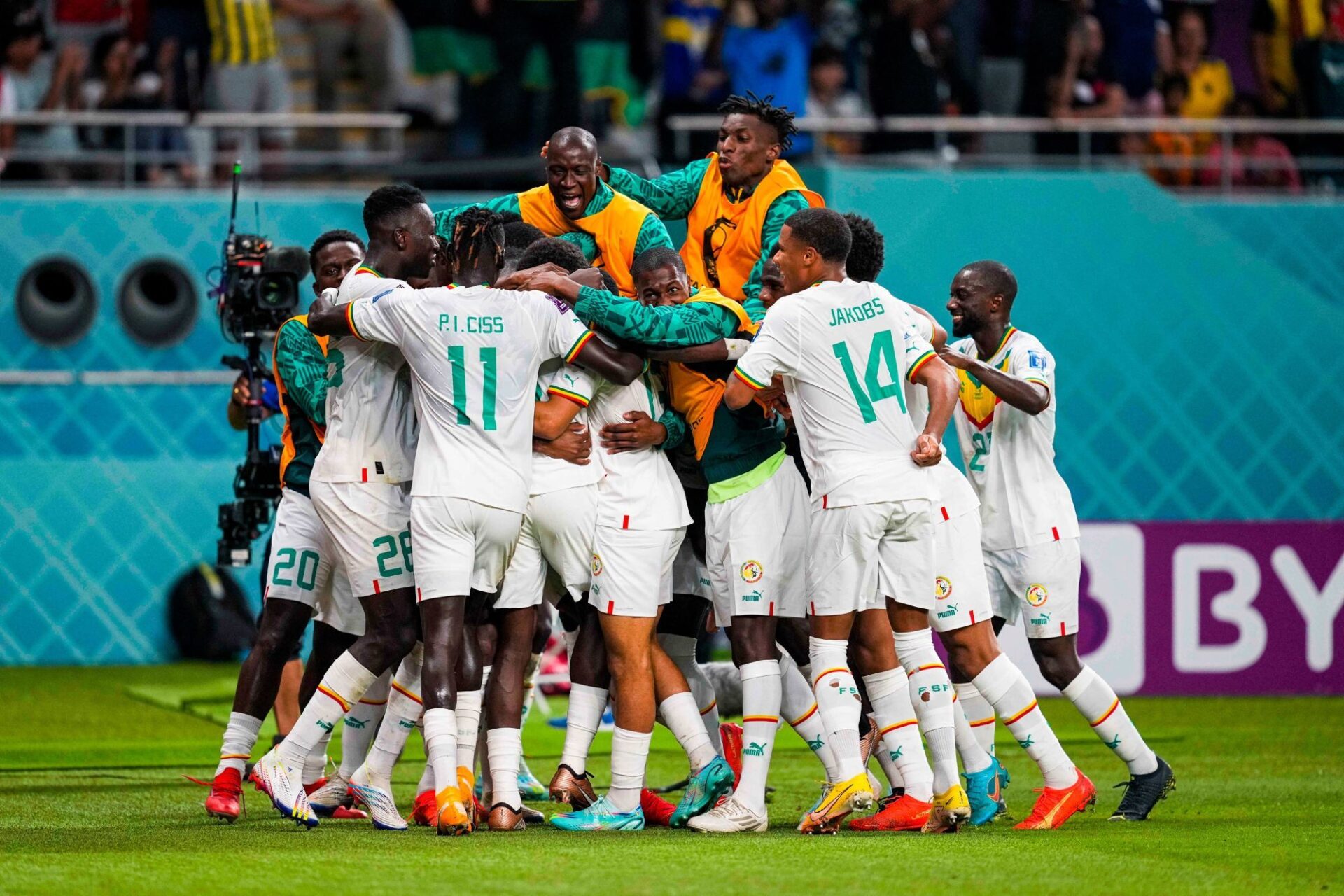 السنغال تتخطّى الإكوادور وتعبر إلى ثمن نهائي كأس العالم قطر 2022 1 المنتخب السنغالي