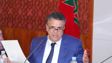 وزير العدل وهبي