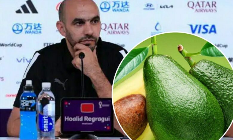 وليد الركراكي 5