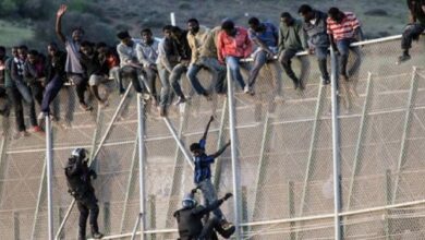 immigration 3