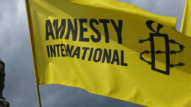 Amnesty